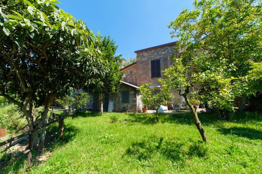 Domus Aqua Viva Villa Massa Lubrense Dış mekan fotoğraf