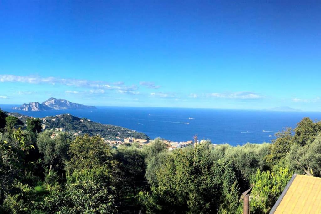 Domus Aqua Viva Villa Massa Lubrense Dış mekan fotoğraf