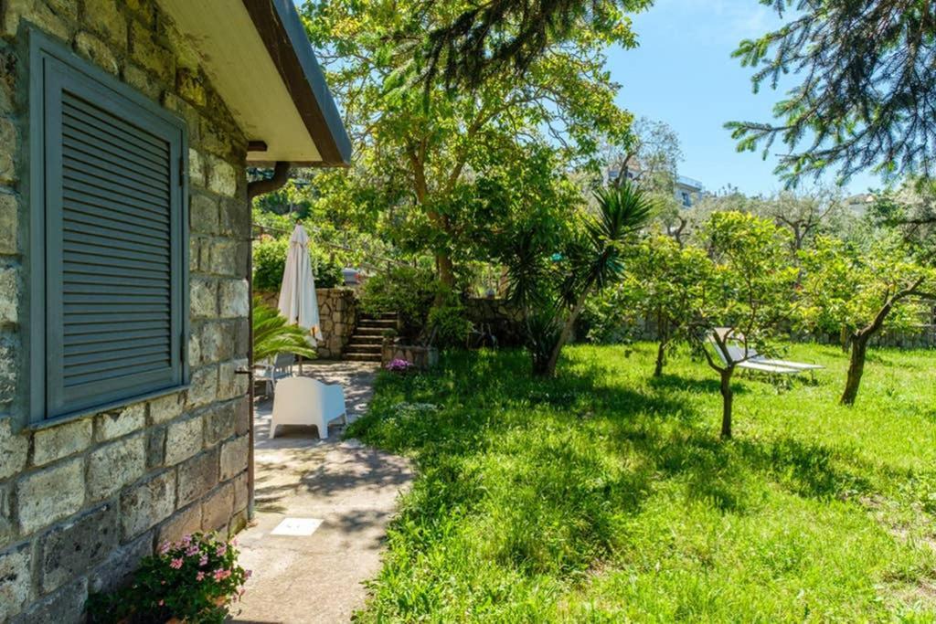 Domus Aqua Viva Villa Massa Lubrense Dış mekan fotoğraf